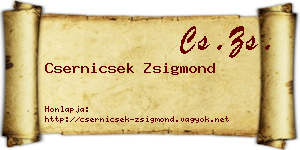 Csernicsek Zsigmond névjegykártya