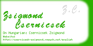 zsigmond csernicsek business card